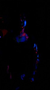 IMG_2545